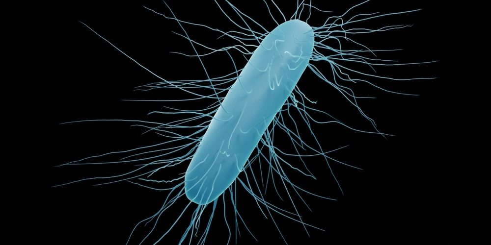 Clostridium,Difficile,Bacteria,(isolated),,3d,Illustration