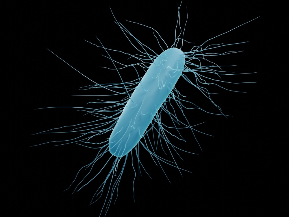 Clostridium,Difficile,Bacteria,(isolated),,3d,Illustration